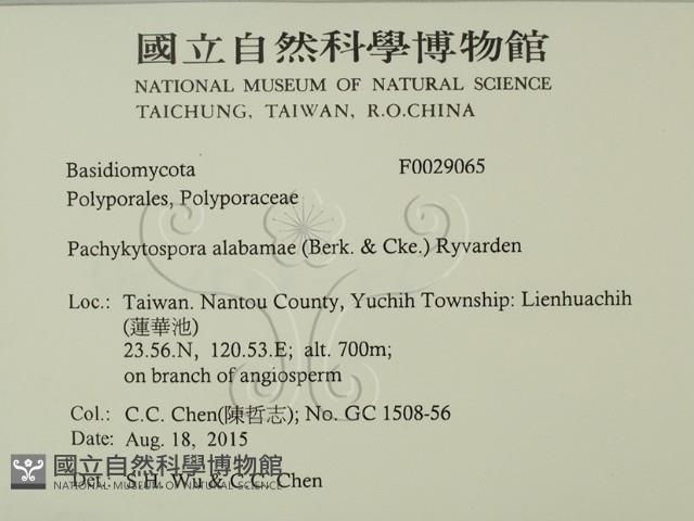 登錄號:F0029065藏品圖，第2張