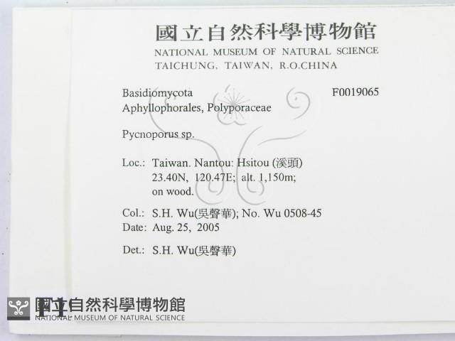 登錄號:F0019065藏品圖，第2張