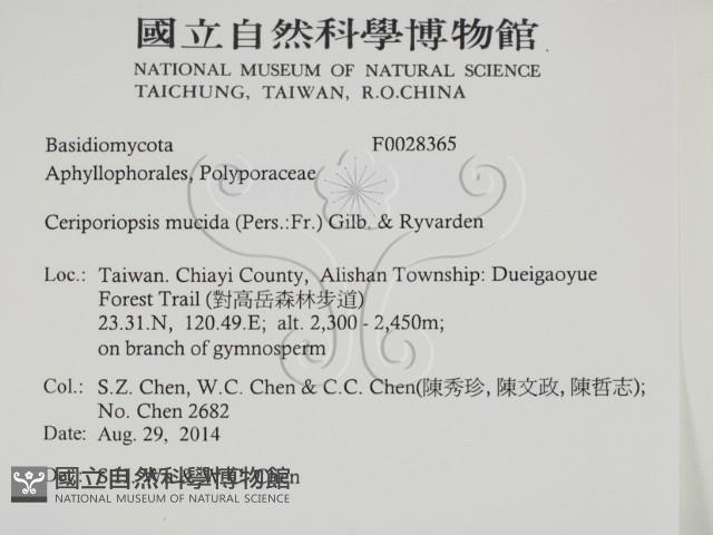 登錄號:F0028365藏品圖，第2張