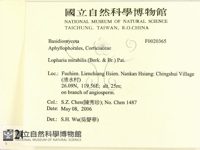 登錄號:F0020365藏品圖，第2張