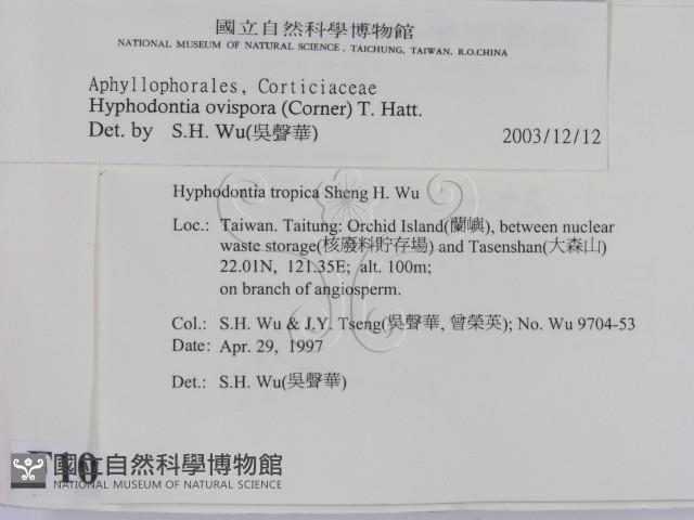 登錄號:F0010365藏品圖，第2張