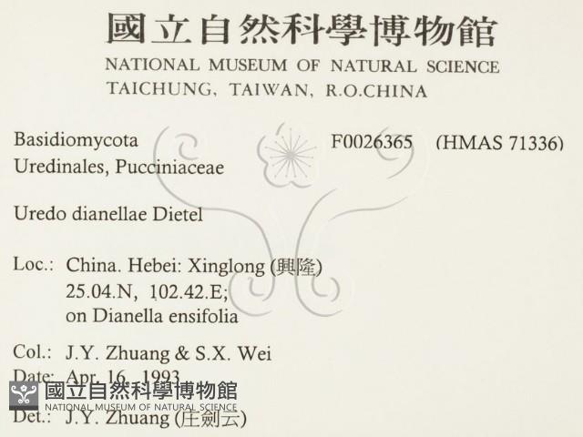 登錄號:F0026365藏品圖，第2張