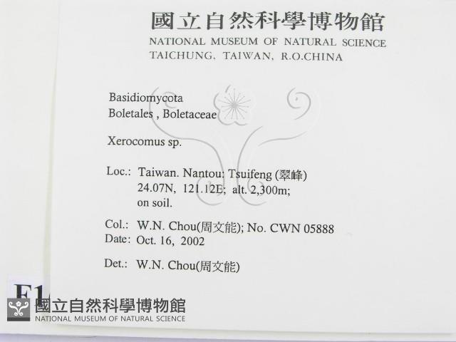 登錄號:F0016365藏品圖，第2張