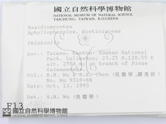 登錄號:F0001365藏品圖，第2張