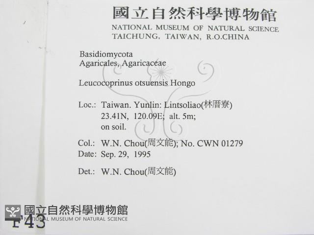 登錄號:F0004365藏品圖，第2張