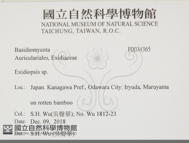 登錄號:F0034365藏品圖，第2張