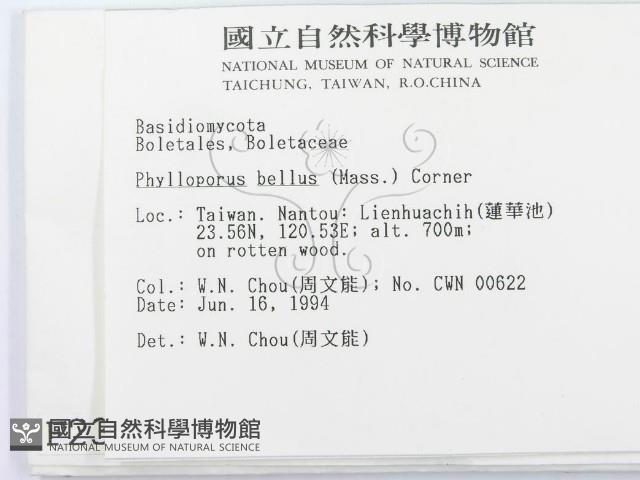 登錄號:F0002365藏品圖，第2張