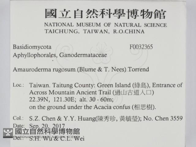 登錄號:F0032365藏品圖，第2張