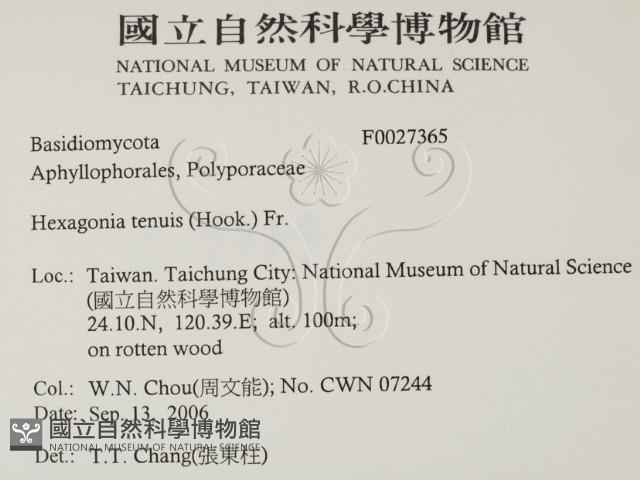 登錄號:F0027365藏品圖，第2張