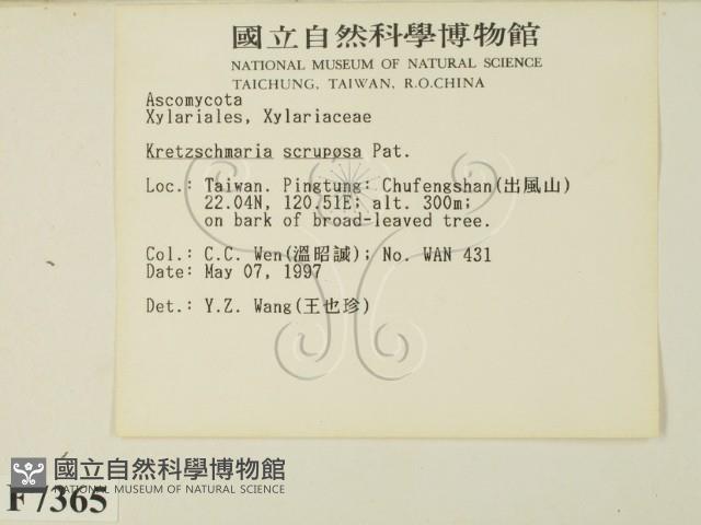 登錄號:F0007365藏品圖，第2張