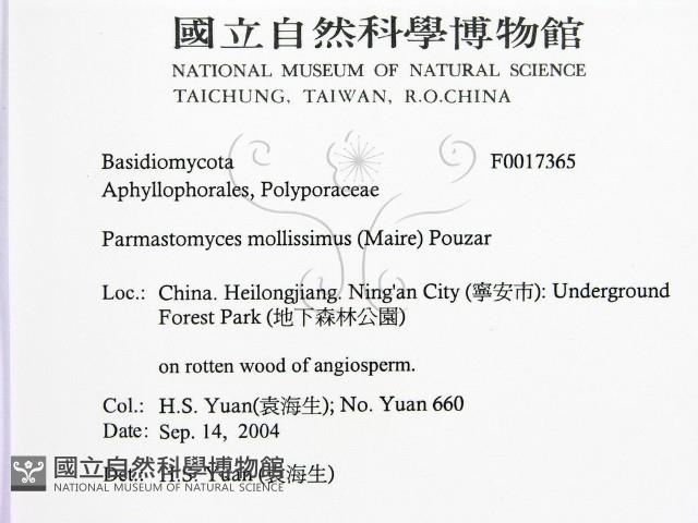 登錄號:F0017365藏品圖，第2張