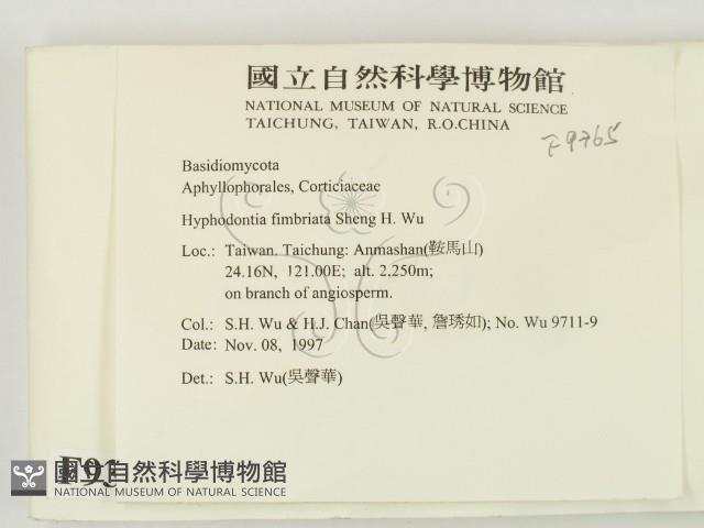 登錄號:F0009365藏品圖，第2張