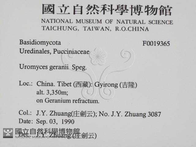 登錄號:F0019365藏品圖，第2張