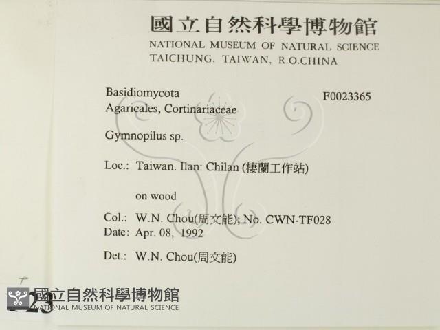 登錄號:F0023365藏品圖，第2張