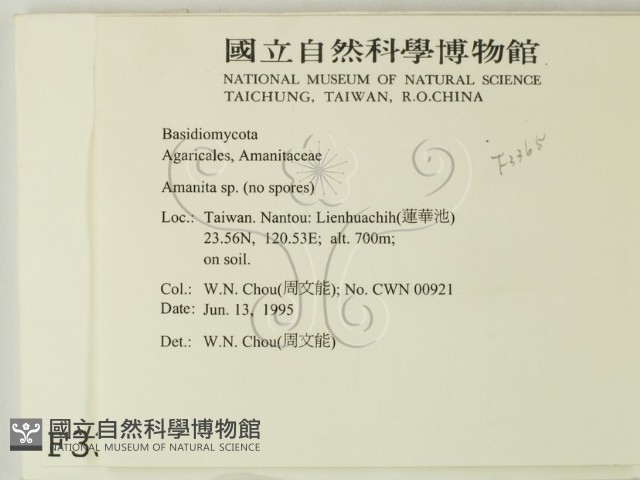 登錄號:F0003365藏品圖，第2張