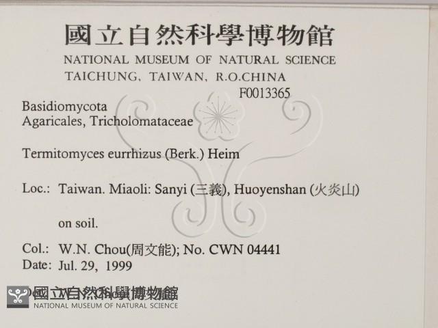 登錄號:F0013365藏品圖，第2張