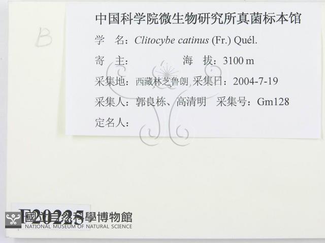 登錄號:F0020225藏品圖，第2張