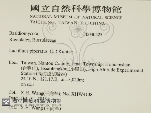 登錄號:F0030225藏品圖，第2張