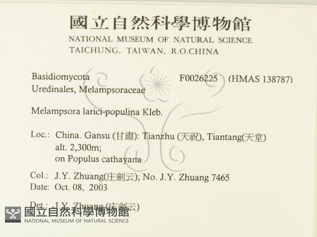 登錄號:F0026225藏品圖，第2張