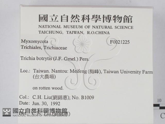登錄號:F0021225藏品圖，第2張
