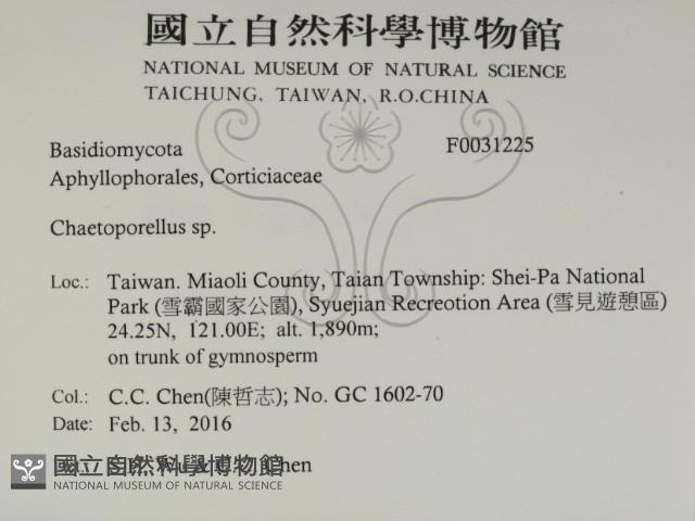 登錄號:F0031225藏品圖，第2張