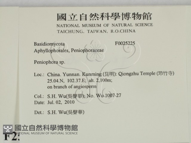 筍殼菌屬藏品圖，第2張