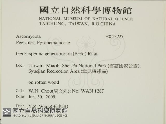 登錄號:F0023225藏品圖，第2張