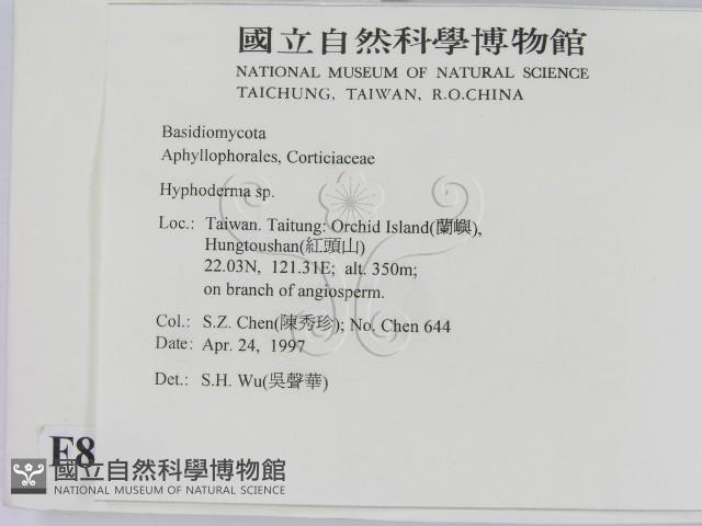 絲皮菌屬藏品圖，第2張