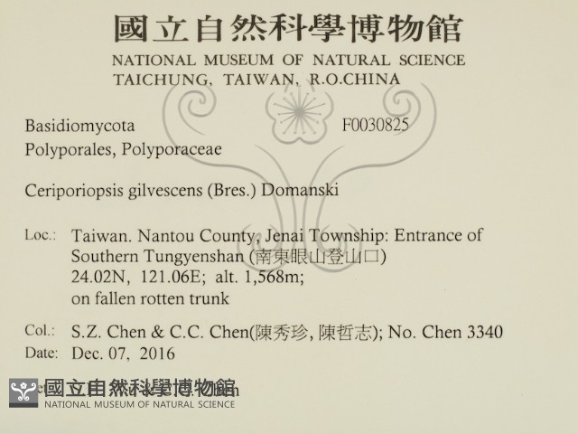 登錄號:F0030825藏品圖，第2張