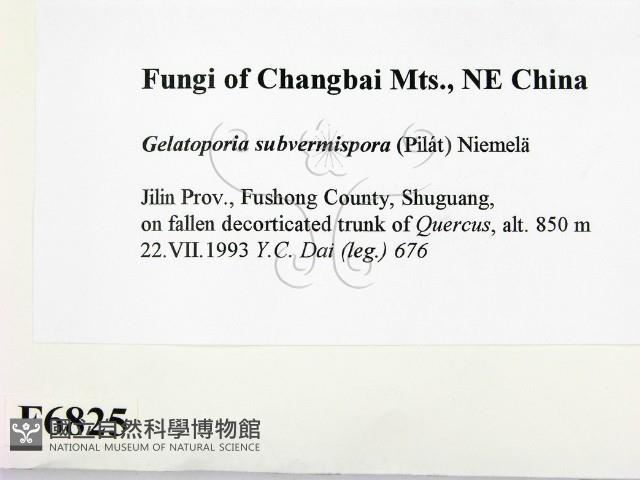 登錄號:F0006825藏品圖，第2張