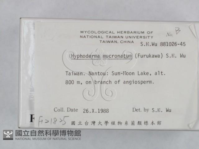 登錄號:F0021825藏品圖，第2張