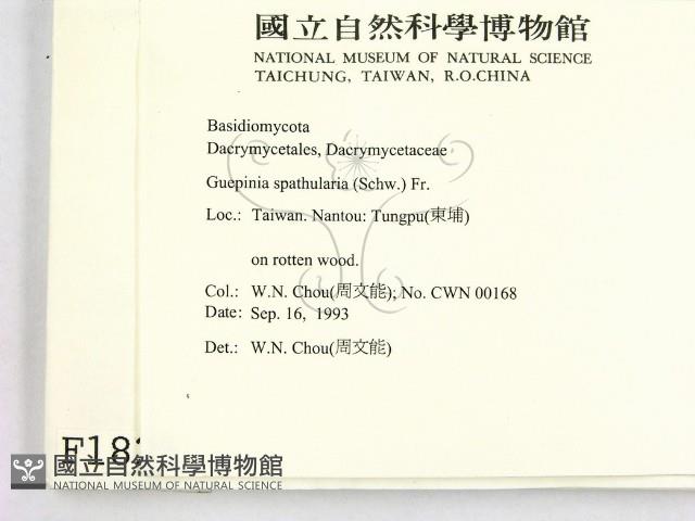 登錄號:F0001825藏品圖，第2張