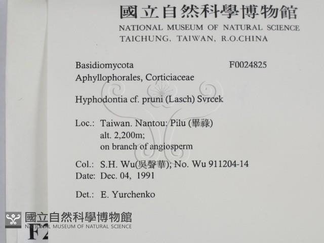 登錄號:F0024825藏品圖，第2張