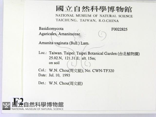登錄號:F0022825藏品圖，第2張