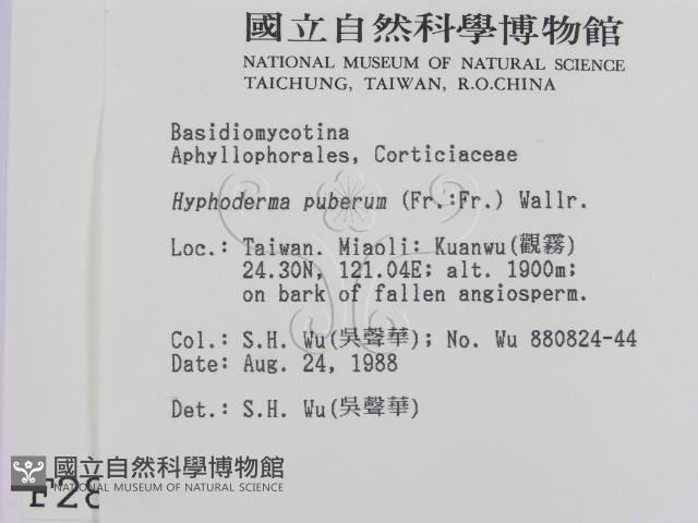 登錄號:F0002825藏品圖，第2張