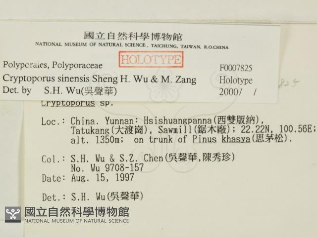 登錄號:F0007825藏品圖，第2張