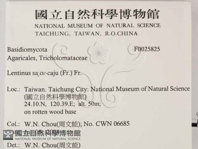 登錄號:F0025825藏品圖，第2張