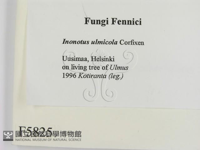 登錄號:F0005825藏品圖，第2張