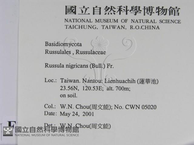 登錄號:F0015825藏品圖，第2張