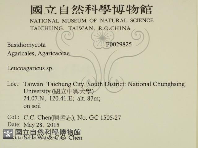 登錄號:F0029825藏品圖，第2張
