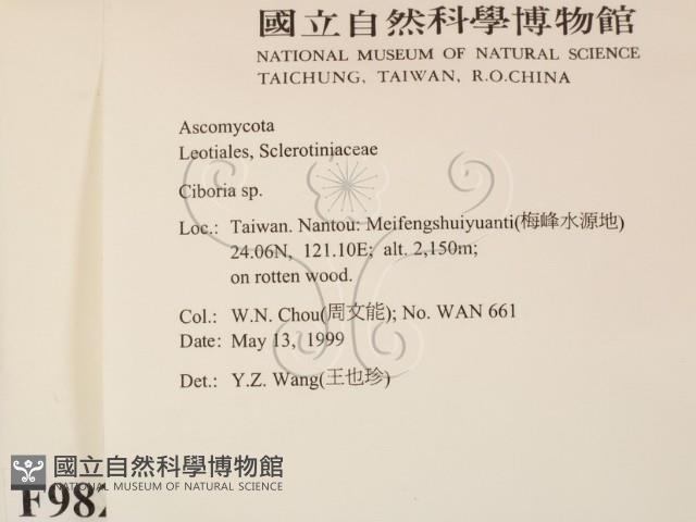 登錄號:F0009825藏品圖，第2張