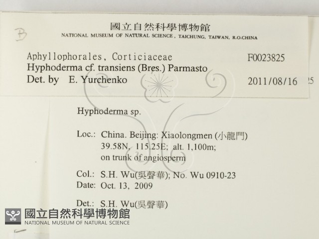 登錄號:F0023825藏品圖，第2張
