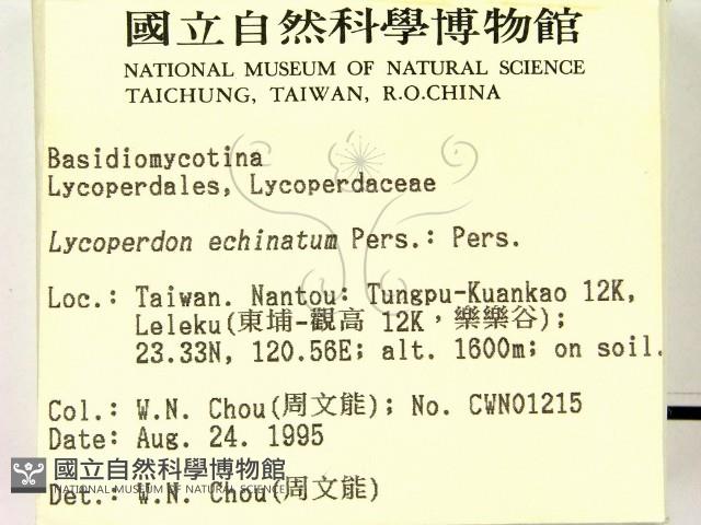 登錄號:F0003825藏品圖，第2張