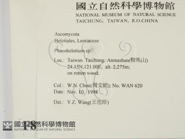 登錄號:F0008925藏品圖，第2張