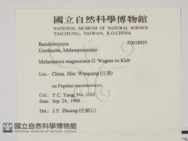 登錄號:F0018925藏品圖，第2張
