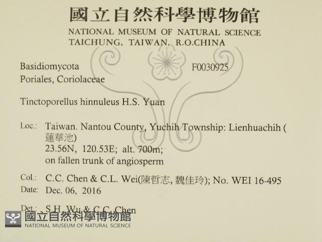 登錄號:F0030925藏品圖，第2張