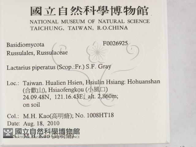 登錄號:F0026925藏品圖，第2張