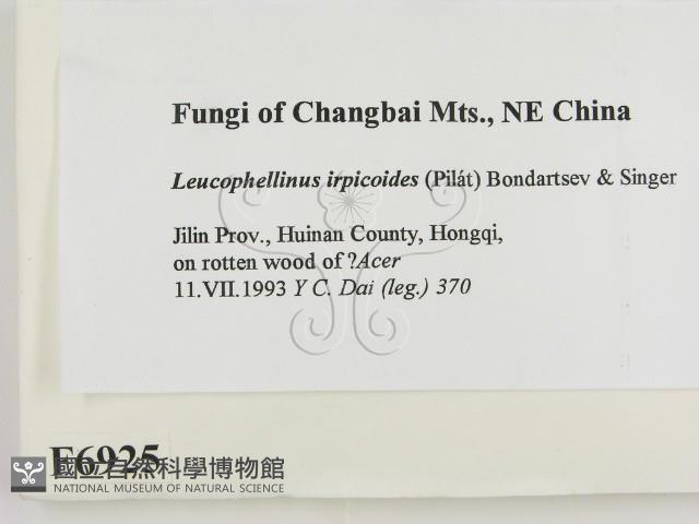 登錄號:F0006925藏品圖，第2張