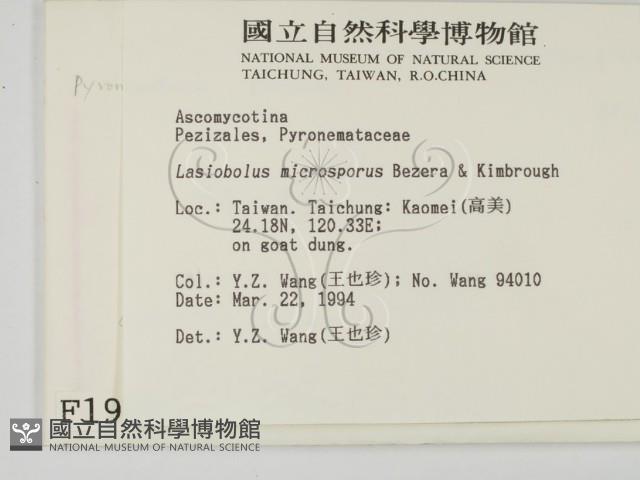 登錄號:F0001925藏品圖，第2張