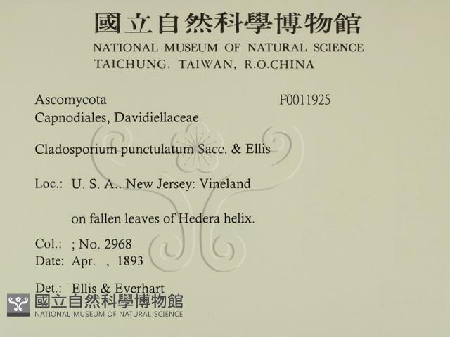 登錄號:F0011925藏品圖，第2張